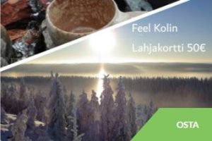 Feel Koli lahjakortti Kuva: Feel Koli lahjakortti