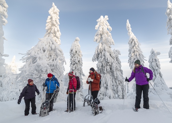 Image: Group on a snowshoe tour having a break in winter forest of Koli National Park.