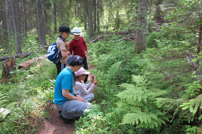 Feel Koli Nature Tours guide with children in Koli National Park forest
