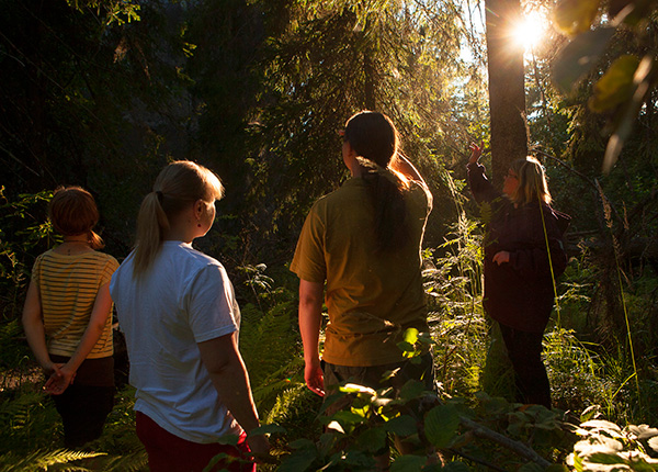 Kuva: Ihmisiä metsässä ilta-auringossa