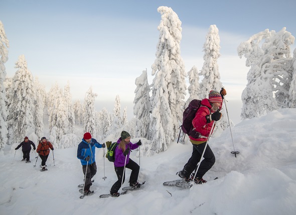 Feel Koli lumikenkäretki Kolin kansallispuistossa. Kuva Jyrki Suikkanen
