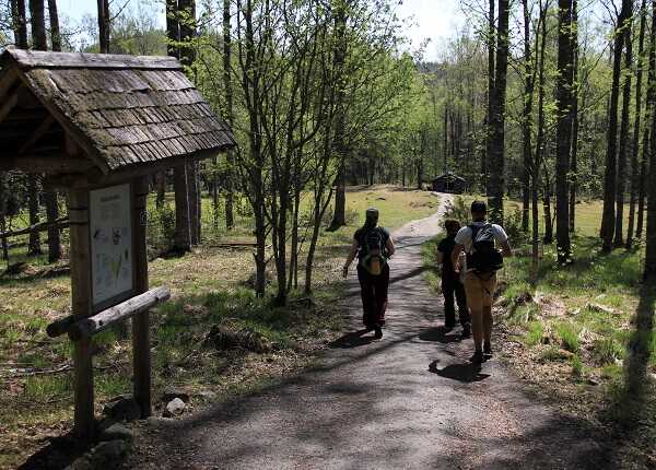 Kuva: Feel Koli luontoretkellä Mäkränaholla Kolin kansallispuistossa.